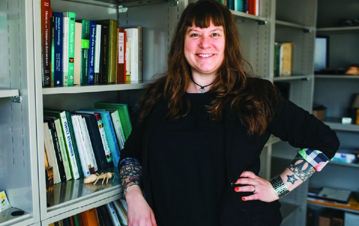 new-course-on-diversity-in-stem