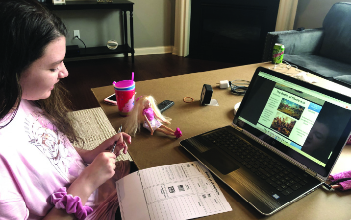 school districts in minnesota permanent distance learning