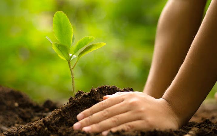 Can Green Education Save The Planet