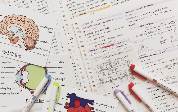 NEET 2021 Advance Information 5 Points On Exam Centre Question Pattern