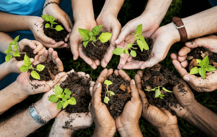 DU Makes It Compulsory For All Students To Plant Trees From This Session