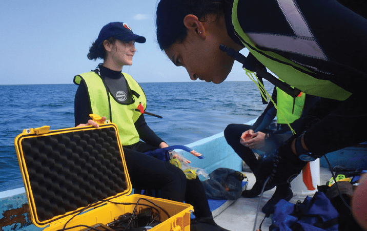 Undergraduate Marine Research Internship