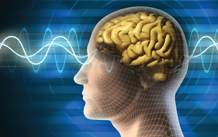 IIT Mandi scientist creates math models to find out how non invasive brain stimulation affects us