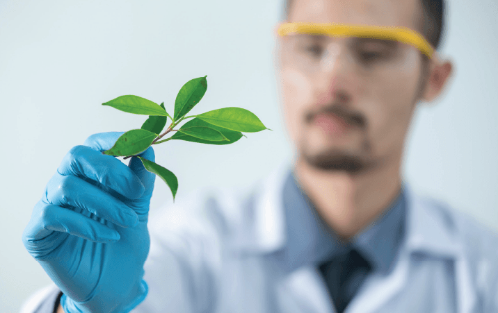 IIITDM Jabalpur Discipline of Natural Sciences Junior Research Fellowship 2022