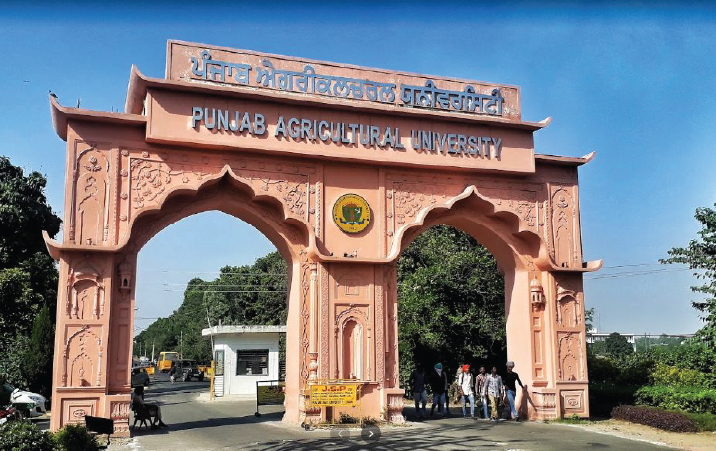 PAU Ludhiana Department of Extension Education and Communication Management DEECM Research Fellowship 2022