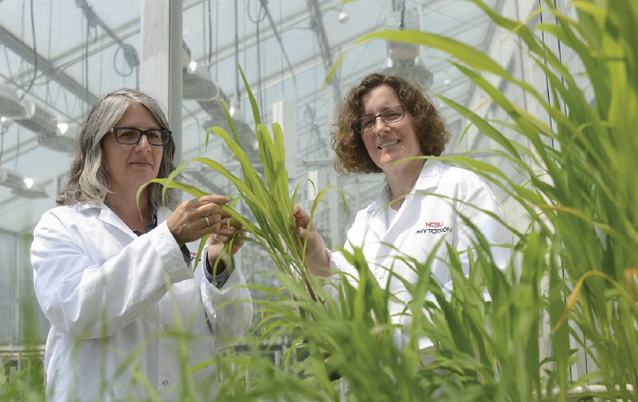 PAU Ludhiana Discipline of EntomologyPathology Research Assistantship 2022