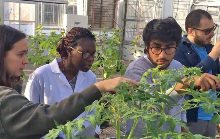 University of Hyderabad Department of Plant Sciences Junior Research Fellowship JRF 2022