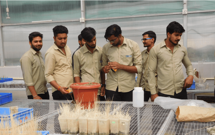 ICAR IARI Student Internship 2022