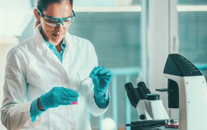 Early Career Fellowships