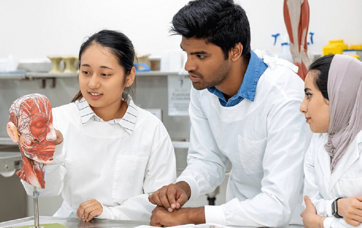 Govt extends time limit for holding NExT till September 2024