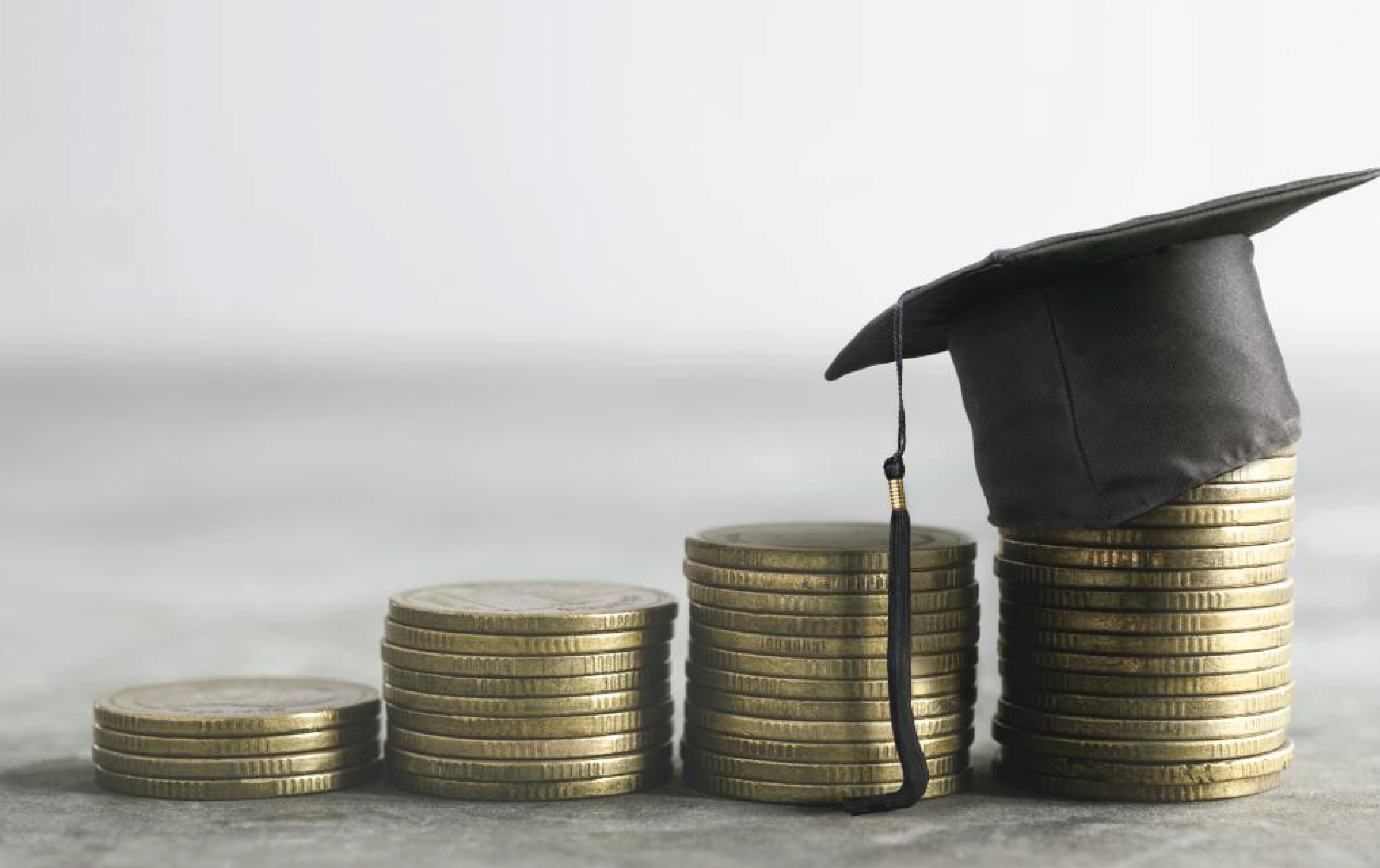 ThinkSwiss Research Scholarships 2023