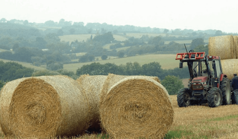 IIT Mandi researchers develop way to turn agricultural waste into biofuel