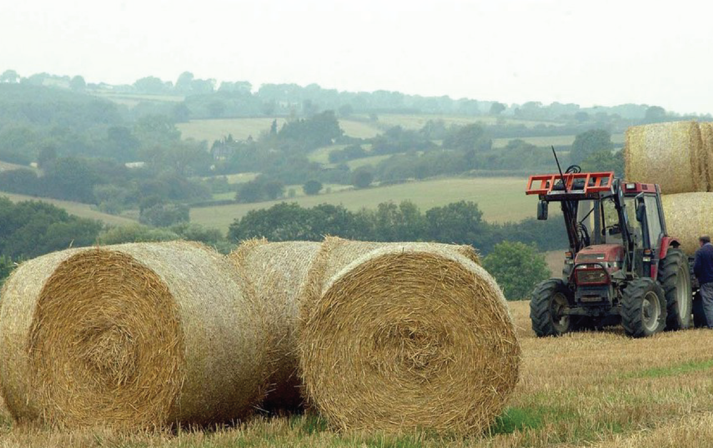 IIT Mandi researchers develop way to turn agricultural waste into biofuel