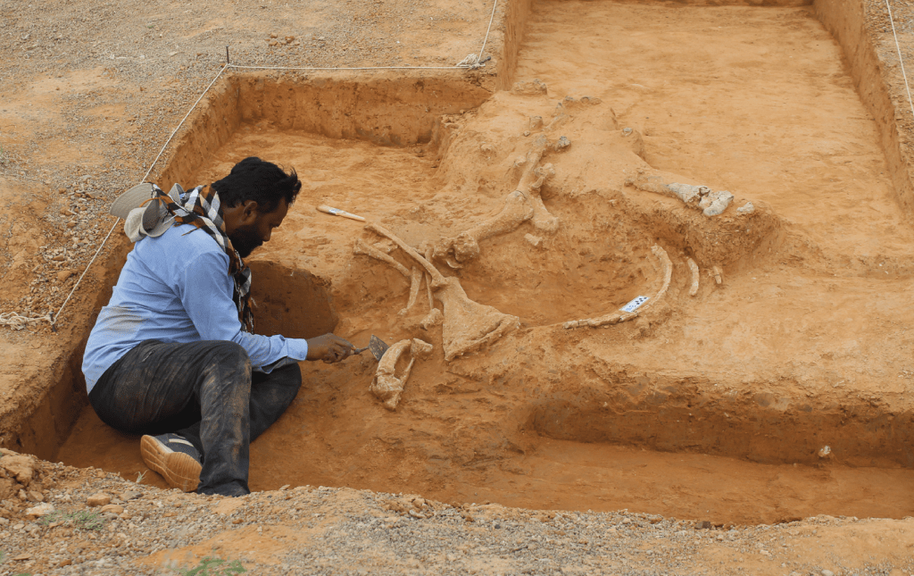 Leakey foundation grant