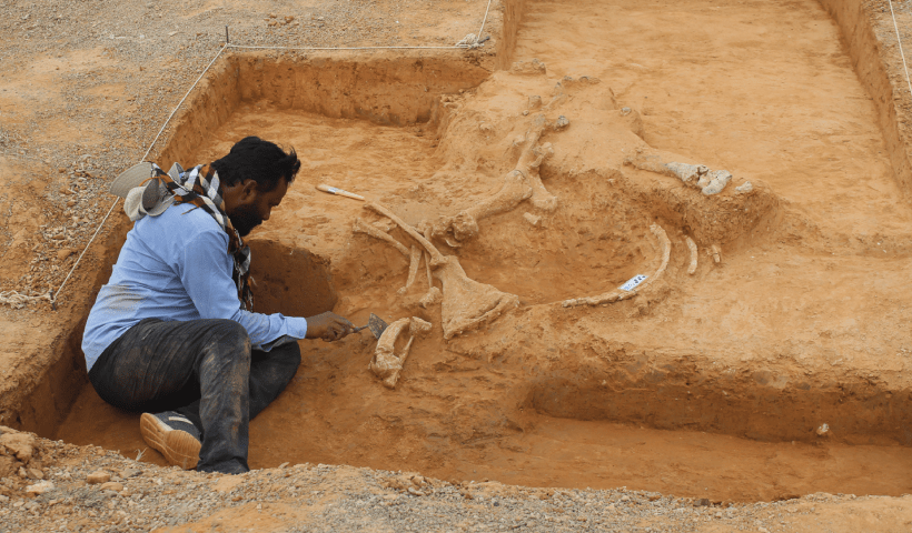 Leakey foundation grant