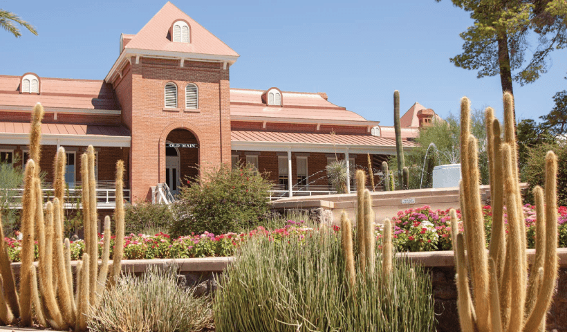 Study Abroad University of Arizona accepting applications for Global Wildcat Scholarships