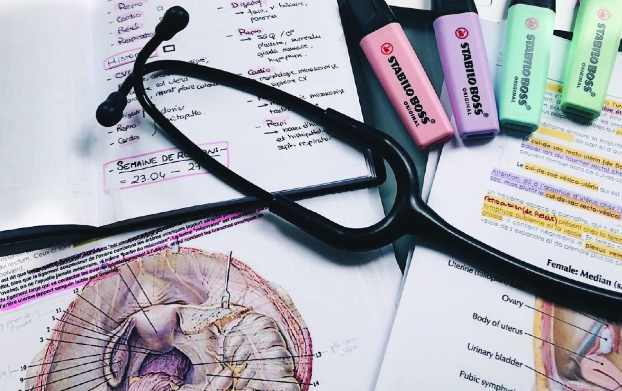 PG medical counselling only through online mode NMC scaled