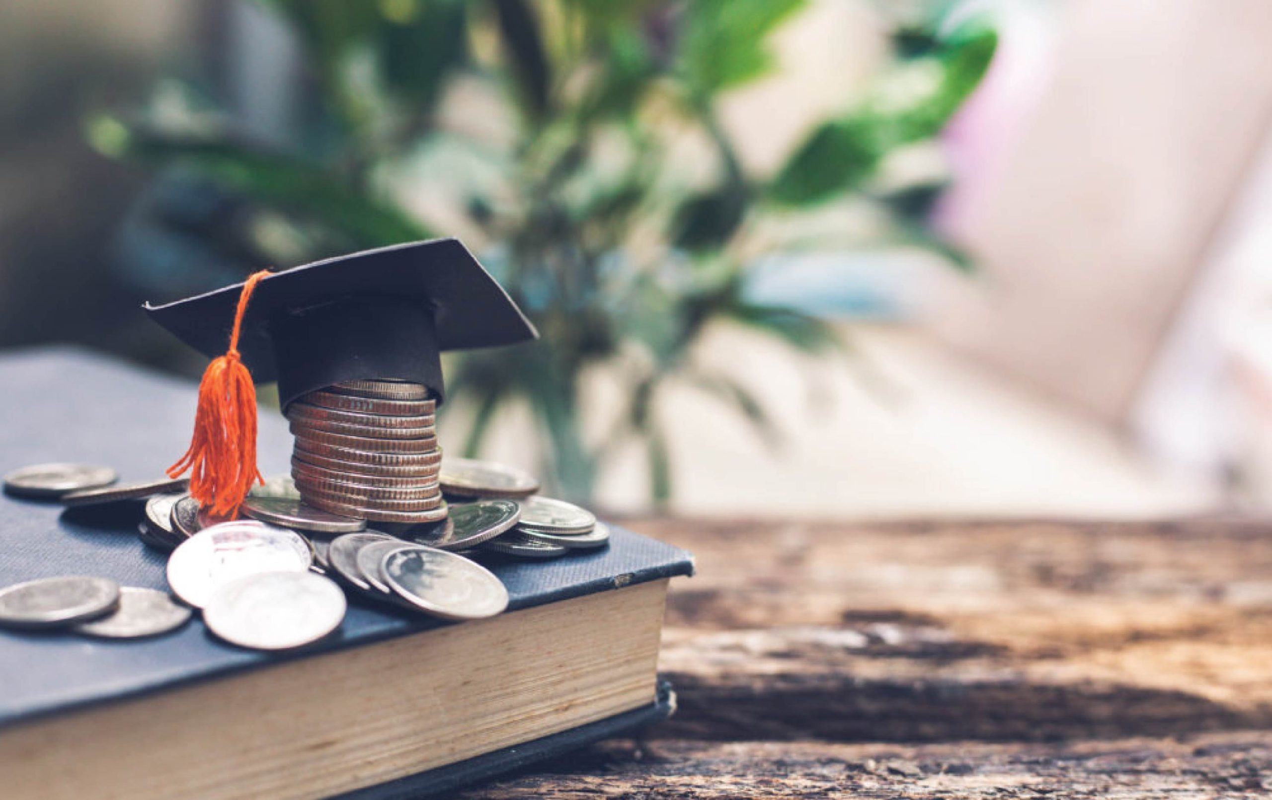 The Collingham Scholarship 2024 scaled