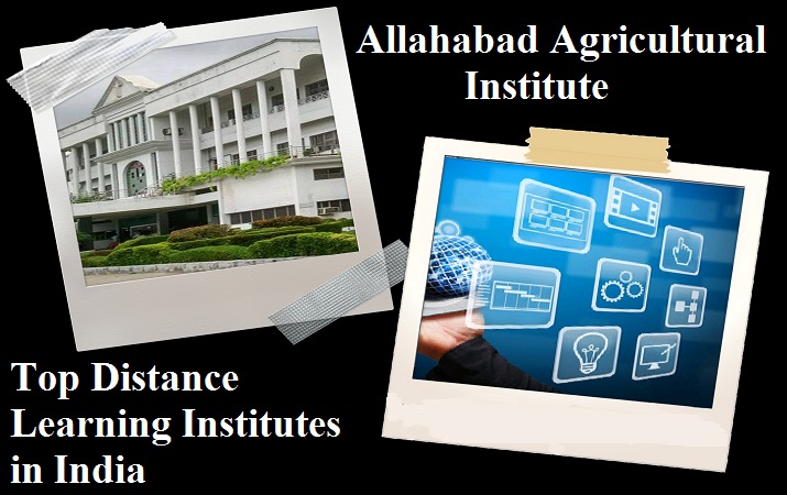 Collage Dis Lear Allahabad