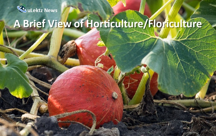 Horticulture Floriculture