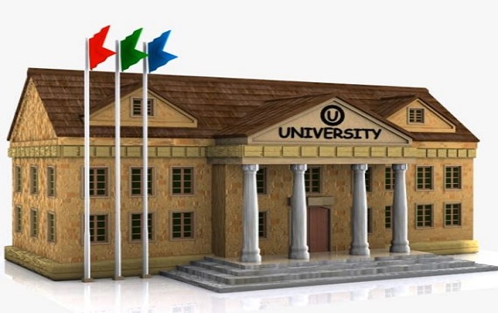 The objective of universities is being underestimated by the current government