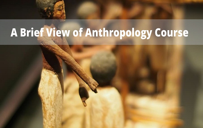 anthropology course